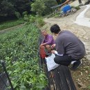 종생마을 이미지