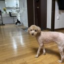 은주네옷수선