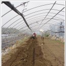 동연농장 이미지