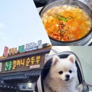 진솔반찬카페 | 강원도 속초 겨울여행 | 2박 3일 진솔 할머니 순두부 식당 애견동반 맛집!