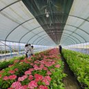 김제교육문화회관 이미지