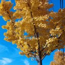 아차산로 이미지