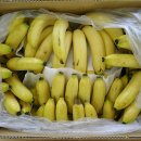 영광군푸드뱅크 이미지