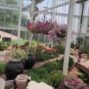 제885차 강진 보은산 우두봉 (441m)산행 이미지