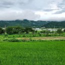 다라미자운영마을 이미지