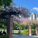 캐나다 어학연수🇨🇦_취미 만들기, K-pop댄스 수업