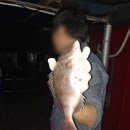 도심속에하루 이미지