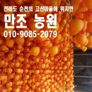맛있는곶감농원 이미지