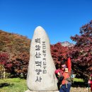 백양사 종주코스 | 내장산 단풍 장성 백양사 쌍계루 내장산 등산코스