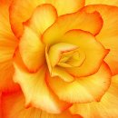 사진예술 이미지