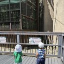 식물원 옆 동물원 | 2025 서울대공원 동물원 방문후기 및 정보