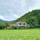 진동호 | [곰배령 펜션 추천] 자연을 느낄 수 있는 곳 ‘곰배령 그곳에가면’