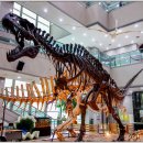 서대문자연사박물관 이미지