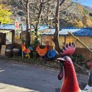 지리산펜션산장 | 전남 구례 펜션 지리산 숙소 피아골계곡 당치민박산장 닭구이까지 완벽