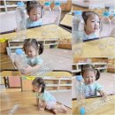 사회복지법인크레용어린이집 | 3세 자연놀이터-부지런한 개미랑 놀아보아요 (금정구 구서동 남산동 청룡동 석화 어린이집)