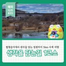 씨유 율하금호강변점 | 생각을 담는 길 1코스 금호강길 트레킹 후기 팔현습지에서 '생각을 담는 정원'까지 5km 사색 여행