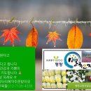염농장 Daum카페