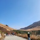 진순농장 | 울산 간월재 :: 초보 등린이도 가능한 사슴농장 코스
