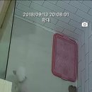 코모네펫하우스 이미지