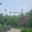 진부체육공원 인조잔디구장 | 동탄 선납 숲공원 산책 유아숲 체험장 주차장 물놀이터
