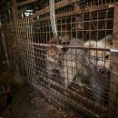 문장농장 이미지