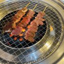 꼼장어와뒷고기포차 | 대전 맛집/ 연탄불연골 꼼장어, 대전 갈마동 맛집, 연골연탄집 대전갈마점