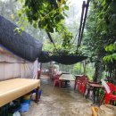 만물농장 이미지