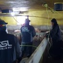 지에스엘 이미지