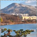 대한민국 민원 행정사사무소 | 원주민원상담 원주 행정 고민 해결의 시작, 벧엘행정사사무소 이야기