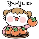 파비오더리미티드(파비오더씨타) 네이버블로그