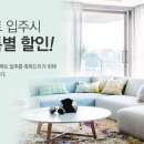 스타일윈도우 이미지