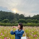 NR-5[경북대로]-하-364 | 2022.10月