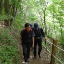 죽변실비식당 이미지