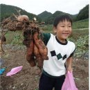 영양중앙초교병설유치원 이미지