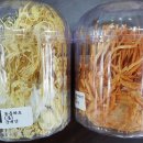 약으로 쓰는 버섯 시리즈 동충하초 이미지