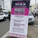 2025 진해군항제 체리블라썸 뮤직페스티벌 토요일 후기