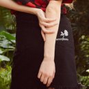 Compositio 이미지