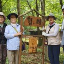 오산회 226회 운문산자연휴양림 산책(2023.7.19, 수) 이미지