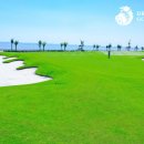드래곤 골프 이미지