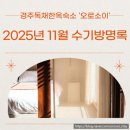 스테이 소이 | 경주 독채 숙소 오로소이 후기 모음｜11월 수기방명록