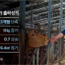 상미농장 이미지