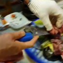 준참치활어회 이미지