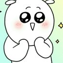 광교호수공원로 이미지