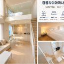 카페라미아 - 동구 대영로 265 | 강릉라미아까사 505 수영장 없어도 예약하는 이유