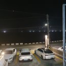 돌담위에흑돼지