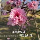 대광족 이미지