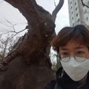 지족실어린이공원