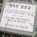 서운체육공원 (양궁장입구) | 인천 계양경기장 양궁장부터 계양 경기장 배구 총정리