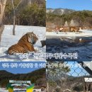 국립백두대간수목원 고산습원 존치가옥 | 봉화 가볼만한 곳 호랑이를 볼수 있는 국립백두대간수목원
