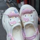 페페오락실 이미지